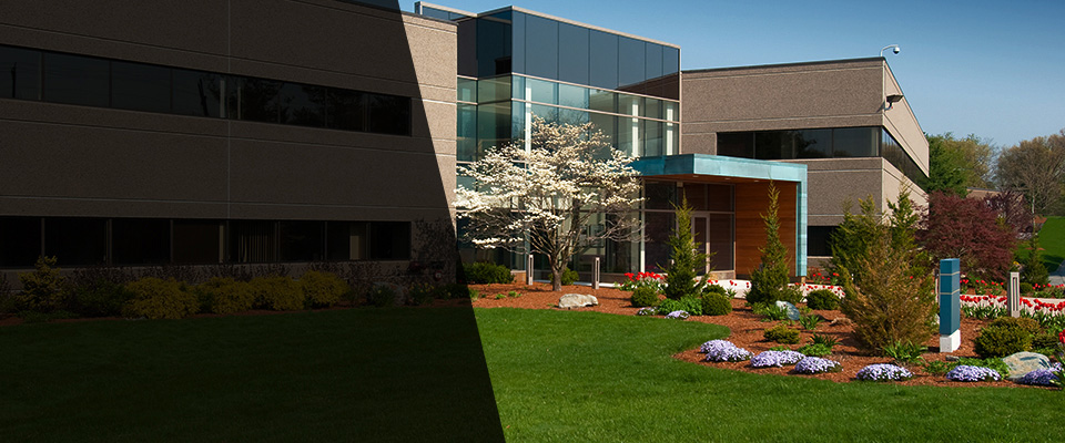 Roselle Landscapers