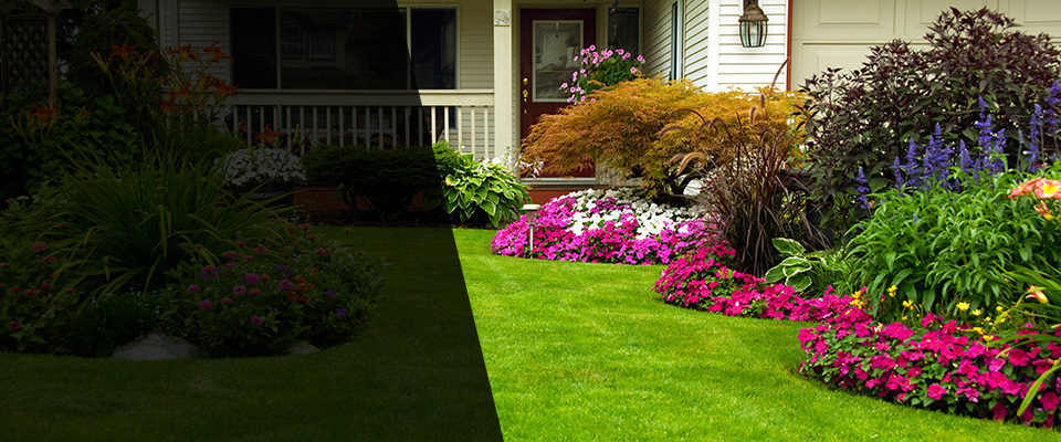 Roselle Landscapers