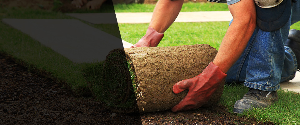 Roselle Landscapers